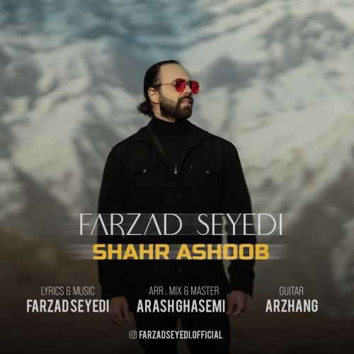 فرزاد سیدی شهر آشوب